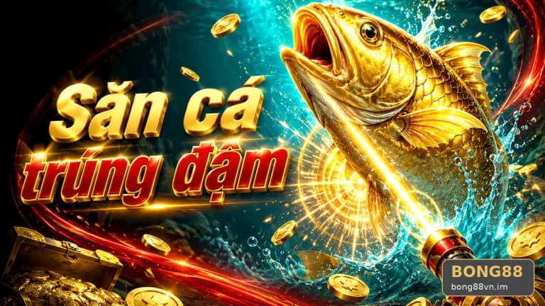 BONG88VNIM 03 Kinh Nghiệm Hồ Sơ Kiểm Chứng — Hướng Dẫn Quản Lý Ngân Sách